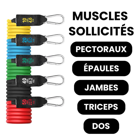 PushResist - Bandes élastiques musculation